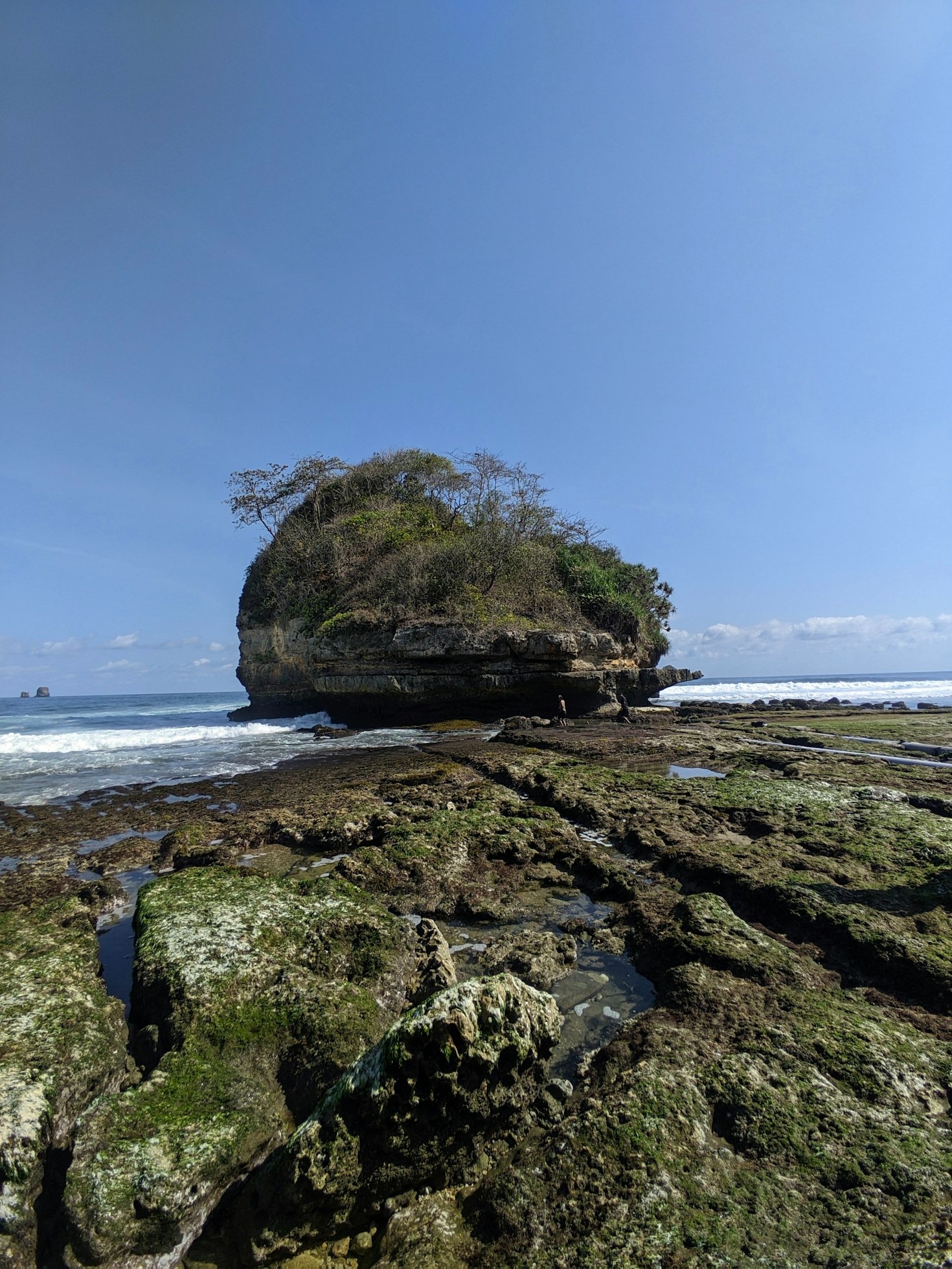 Wisata Edukasi: Keanekaragaman Hayati Berbak